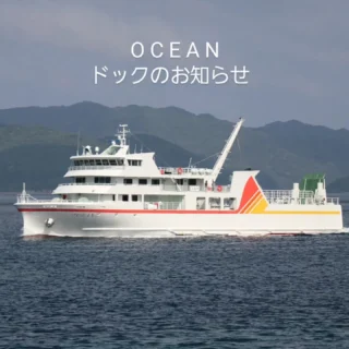 全国フェリー・旅客船ガイド 1989上期号 運賃・航路 時刻表 - 船舶